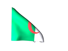 Logo droite